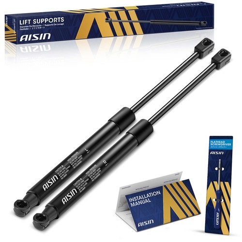 Aisin gassch 01024 - 2x, a